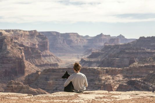 How to Travel with Your Dog: Packing List & Safety Tips