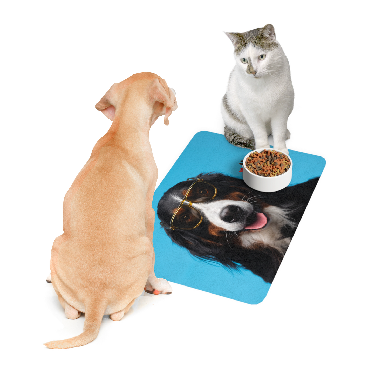 Pawtner, Stylish Pet Food Mat, Cat Food Mat, Dog Feeding Mat, Pet Lover Gift, Personalized Pet Mat, Unique Pet Accessories, Pet Food Mat (12" x 18")