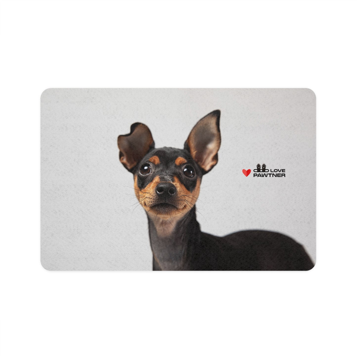 Pawtner, Stylish Pet Food Mat, Cat Food Mat, Dog Feeding Mat, Pet Lover Gift, Personalized Pet Mat, Unique Pet Accessories, Pet Food Mat (12" x 18")