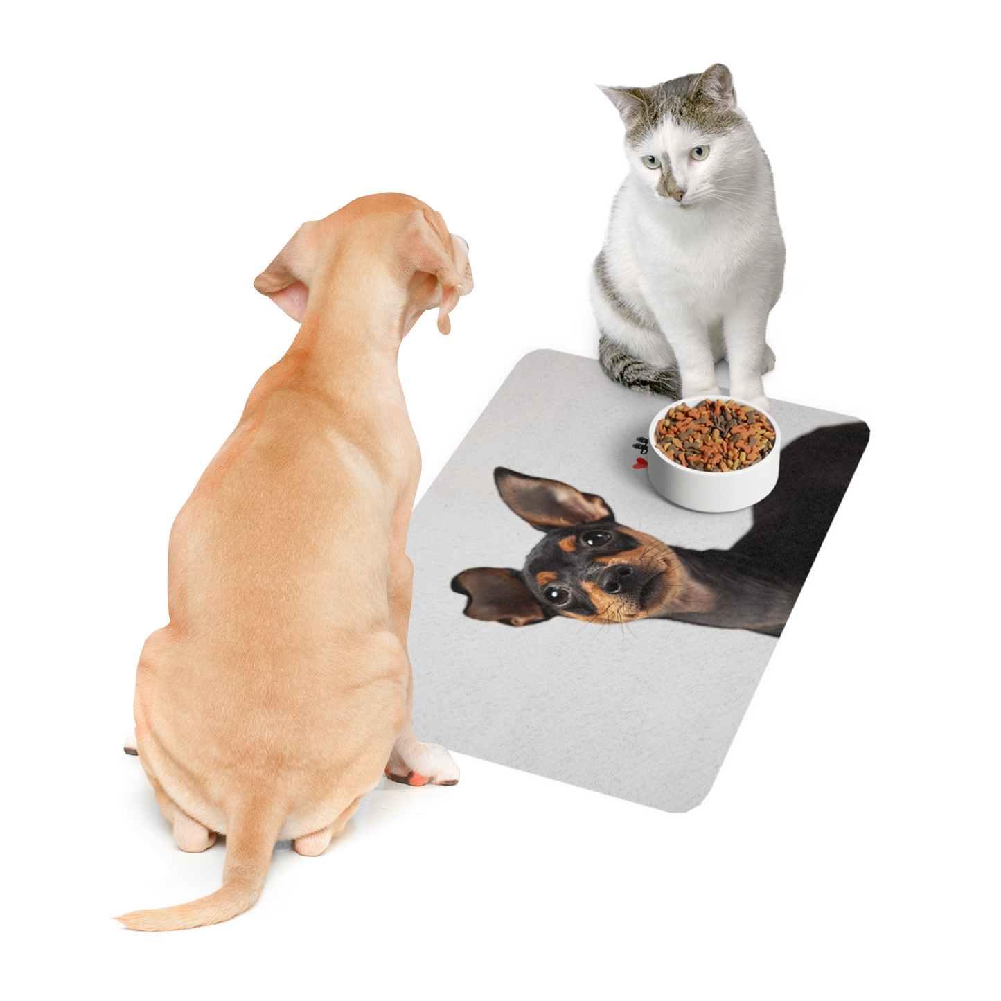 Pawtner, Stylish Pet Food Mat, Cat Food Mat, Dog Feeding Mat, Pet Lover Gift, Personalized Pet Mat, Unique Pet Accessories, Pet Food Mat (12" x 18")