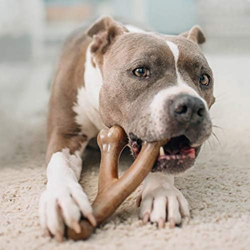 Benebone Wishbone Durable Dog Chew Toy for Aggressive Chewers, Real Peanut, Made in USA, Large