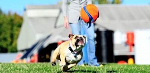 Chuckit! Kick Fetch Ball Dog Toy, Small (6 Inch)
