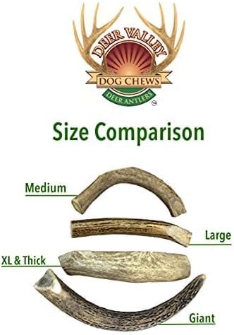 Deer Valley Dog Chews (Giant Single, 8-10 Inches) Sustainably-Sourced Deer Antler for Extra Large Dog Breeds - Durable Dog Chew Bone for Aggressive Chewers