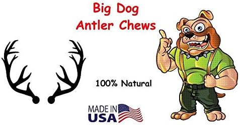 Extra Large Whole Deer Antler Dog Chew - for Large Dogs and Puppies