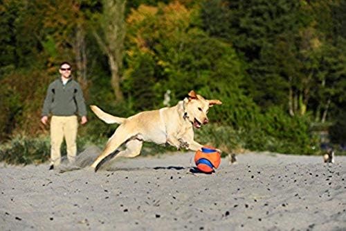 Chuckit! Kick Fetch Ball Dog Toy, Small (6 Inch)