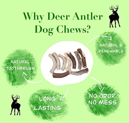Deer Valley Dog Chews (Large 3 Pack, 6-7 Inches) Premium Deer Antler for Dogs - Ethically-Sourced and Irresistible Dog Chew Toy for Medium to Large Dog Breeds