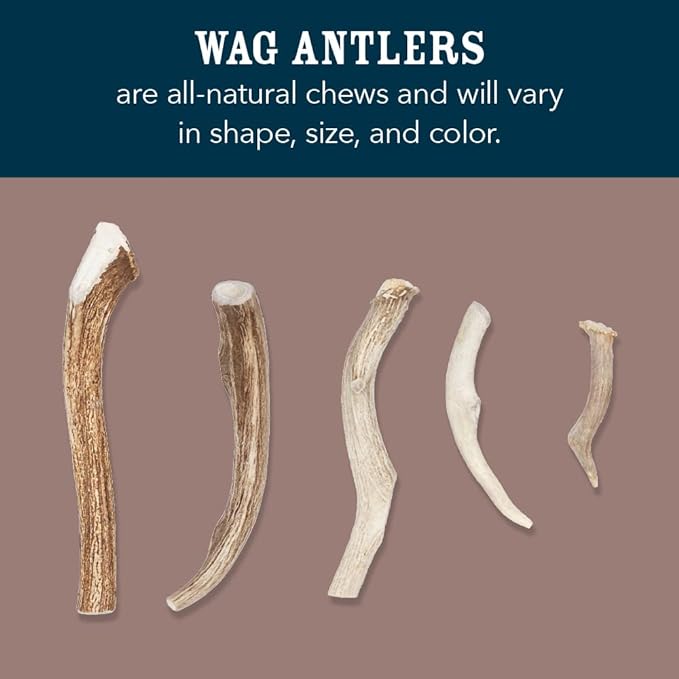 Amazon Brand - Wag Elk Antler - Whole - X-Large 9.5-10.5 inches (Best for Dogs over 45 lbs)
