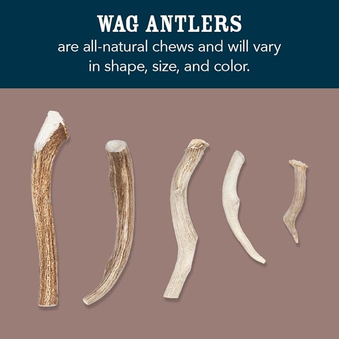 Amazon Brand – Wag Dog Deer Antler Chew, Naturally Shed. Whole, Small (Best for Dogs Under 15 lbs) 4–5.5 inches (Pack of 4)