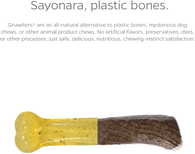 Pet Parents Gnawtlers-Premium Deer Antlers for Dogs, Naturally Shed Deer Antlers, All Natural Deer Antler Dog Chew, Selected from The Heartland Region (Small, 1 Count)