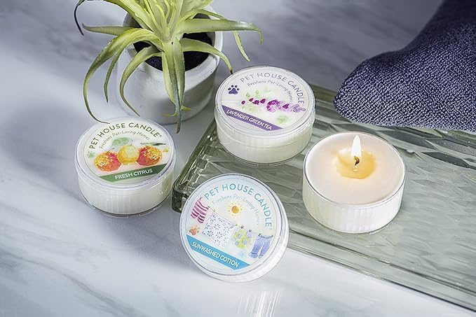 One Fur All Pet House Mini Candles Made with Natural Soy Wax, Plant Based, Pet Friendly Candles, Spring Variety Pack of 10