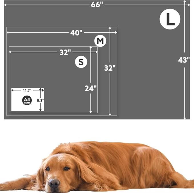 Stuffed Premium Soft Dog Blanket, with Flannel Grey Cute Paw Print, 24 * 32 inches, Cat Blanket Puppy Pads Supplies Dog Products Stuff Essentials