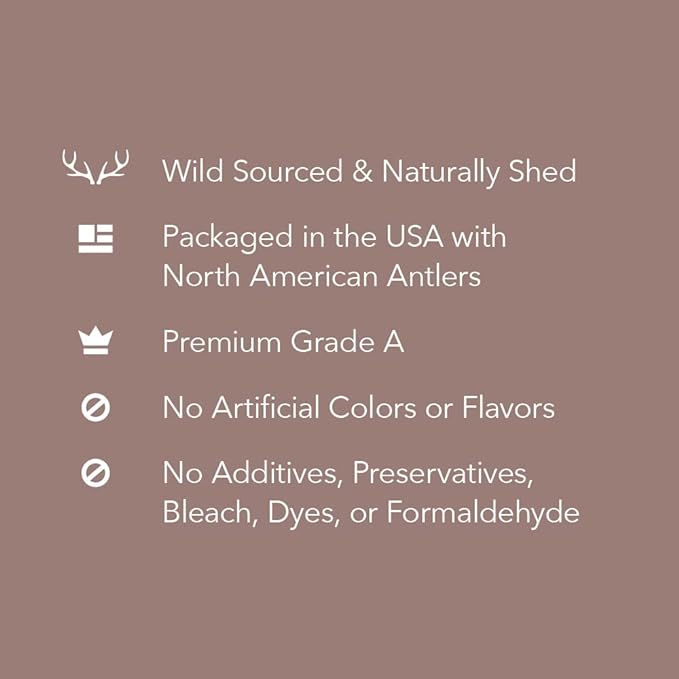 Amazon Brand – Wag Dog Deer Antler Chew, Naturally Shed, Whole, 9–10.5 inches, X-Large (Best for Dogs Over 45 lbs) (Pack of 4)