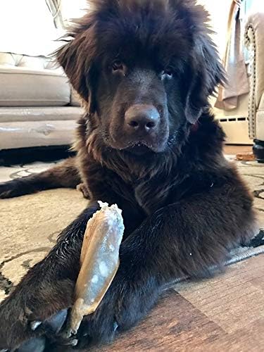 EcoKind Pet Treats Jumbo (6-8 inches Each) Cow Ear Dog Treats - 100% All-Natural Beef Dog Chews - Promotes Dental Health - Durable & Long-Lasting, Free Range Grass Fed Cattle (200 Ears)