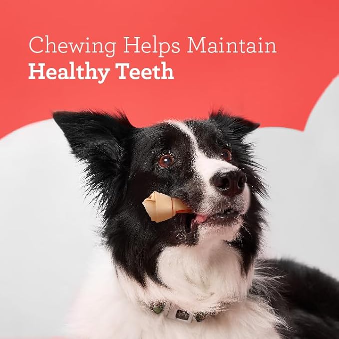 Dreambone Vegetable & Chicken Dog Chews, Rawhide Free, Medium, 4-Count, Medium, 4 Pieces/Pack (DBC-00257) (3 Pack)