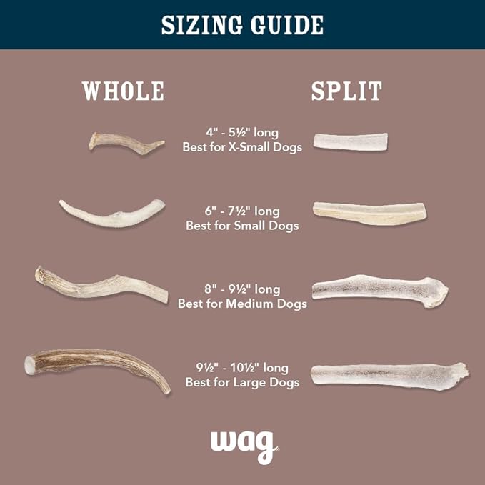 Amazon Brand – Wag Dog Deer Antler Chew, Naturally Shed, Whole, 9–10.5 inches, X-Large (Best for Dogs Over 45 lbs) (Pack of 4)