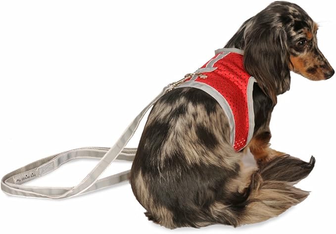Athletic Mesh Dog Harness for Teacup, Teacup 3 - Small Dogs and Puppies | Reflective Trim and Comfortable Velcro Closure