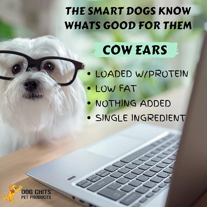 Dog Chits Cow Ears for Dogs | Extra Large | Thick Cut | Whole Ears | Dog and Puppy Chews | USDA | All Natural | Long Lasting Chews | 10 Count