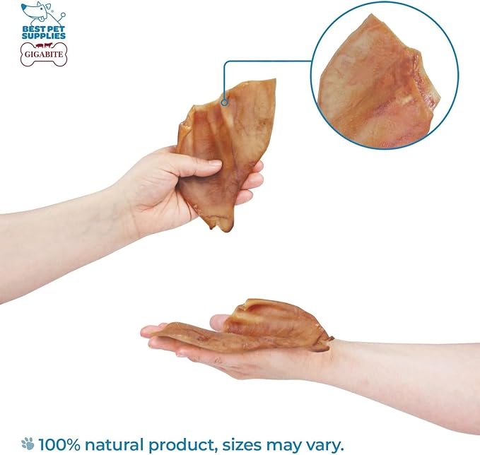 Best Pet Supplies GigaBite Roasted Pig Ears for Dogs, Natural and Healthy Chews, Treats in Whole, Slices, or Sticks, Safe for Puppies and Aggressive Chewers, Clean Teeth and Gums - Pack of 24