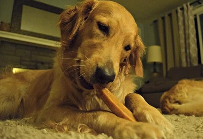 EcoKind Premium Gold Yak Cheese Himalayan Dog Chews, Dog Treats Large Breed, All Natural, High Protein, for Aggressive Chewers, Large - 3 Chews