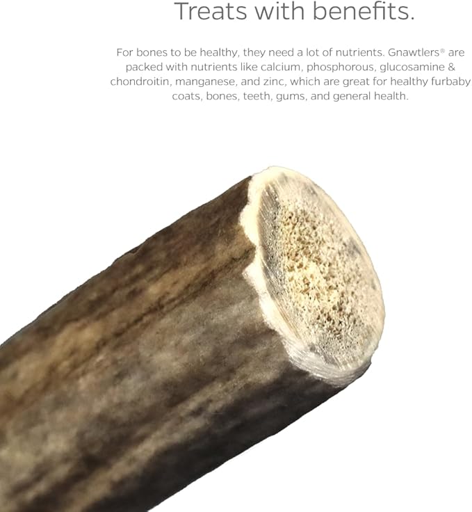 Pet Parents Gnawtlers® - Premium Split Antlers for Dogs, Naturally Shed Split Elk Antlers, All Natural Split Elk Antler Dog Chew, Specially Selected from The Heartland Regions (Small)