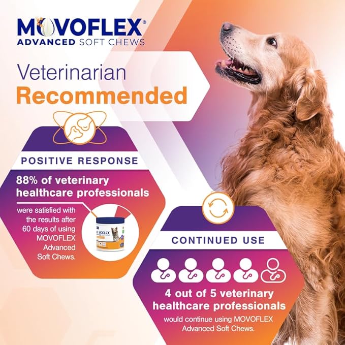 Advanced Joint Support Supplement for Small Dogs - Hip and Joint Support - Dog Joint Supplement - Hip and Joint Supplement Dogs - 120 Soft Chews (by Virbac)
