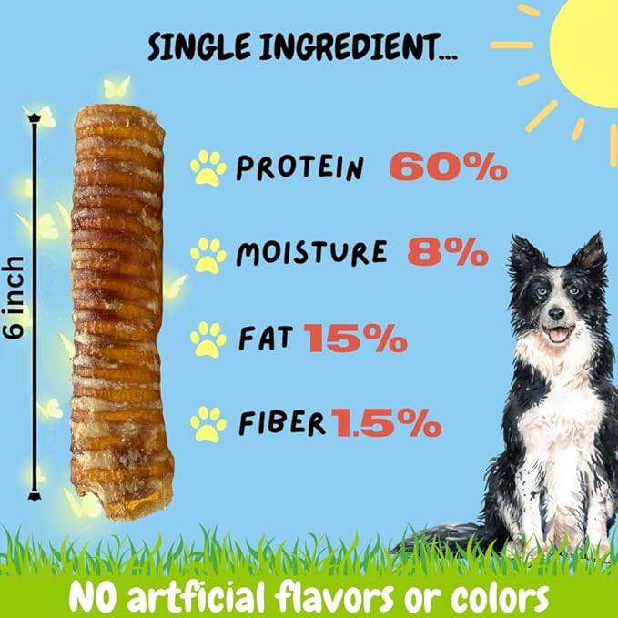 BULLYSTICKS & MORE 6 Inch Beef Trachea (6 Inch - 12 Pack) | Beef Trachea for Dogs | 100% Grass Fed Beef | Dog Parents Choice Beef Trachea Dog Chews | Long Lasting Beef Trachea Dog Treats