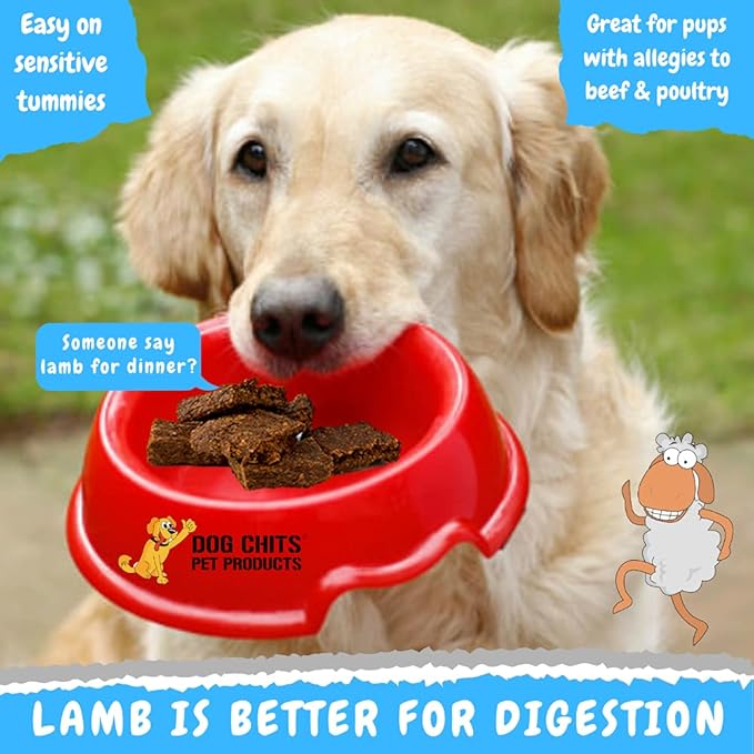 Dog Chits Lamb and Flaxseed Soft Chew for Dogs - Dog and Puppy Chews | Made in USA | USA Lamb | All Natural Treats | Large and Small Dogs | Rich in Omega 3 and 6 Flaxseeds | 4 oz.