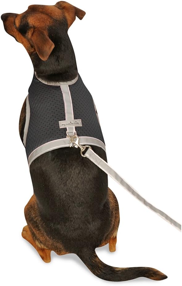 Athletic Mesh Dog Harness for Teacup, XSmall - Small Dogs and Puppies | Reflective Trim and Comfortable Velcro Closure