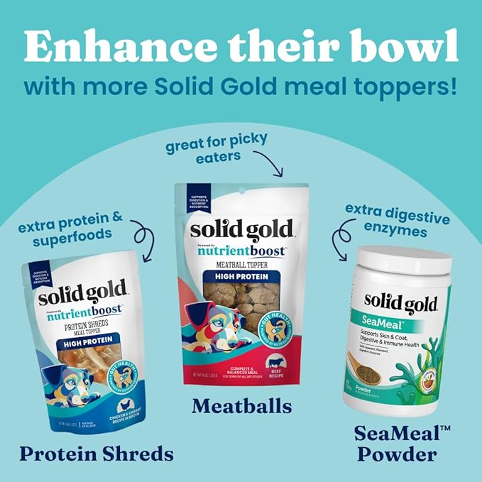 Solid Gold Turkey Bone Broth for Dogs - Grain Free Dog Food Topper Rich in Collagen and Superfoods - Nutrient Dense Dog Gravy Topper for Dry Food - Promotes Gut Health and Hydration - 12 Pack