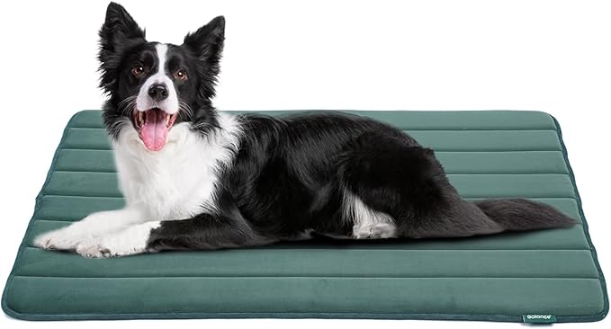 BALANCE Dog Crate Pad, Dog Foam Crate Mat Kennel Pad, Washable Water-Resistant Pet Bed Flat Dog Cage Mat for Small Dogs