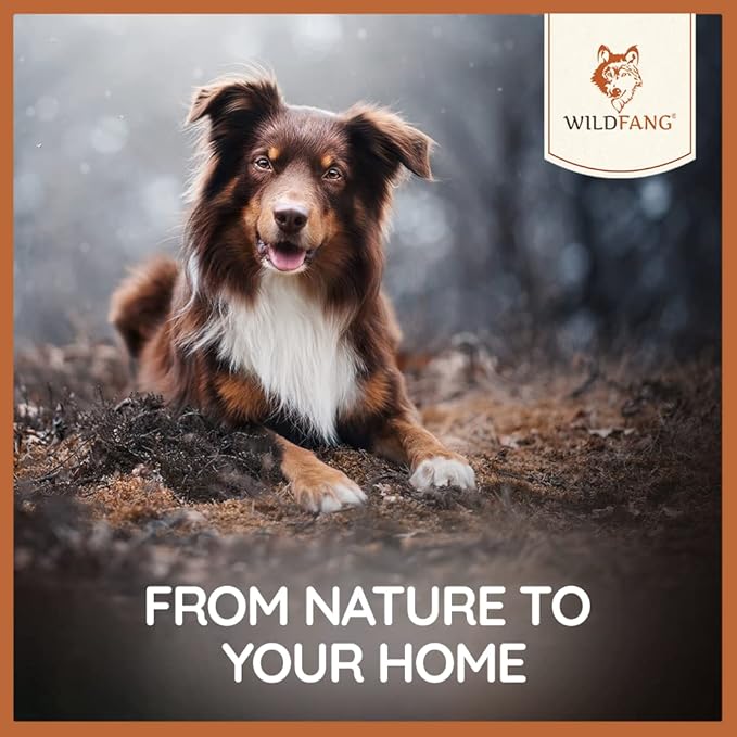 Wildfang Leather Bones for Dogs - Long Lasting Dog Chew Stick, Leather Chew Toys for Dogs, Leather Dog Toys, Leather Dog Chews, Leather Dog Bones, Leather Dog Toys for Aggressive chewers, L