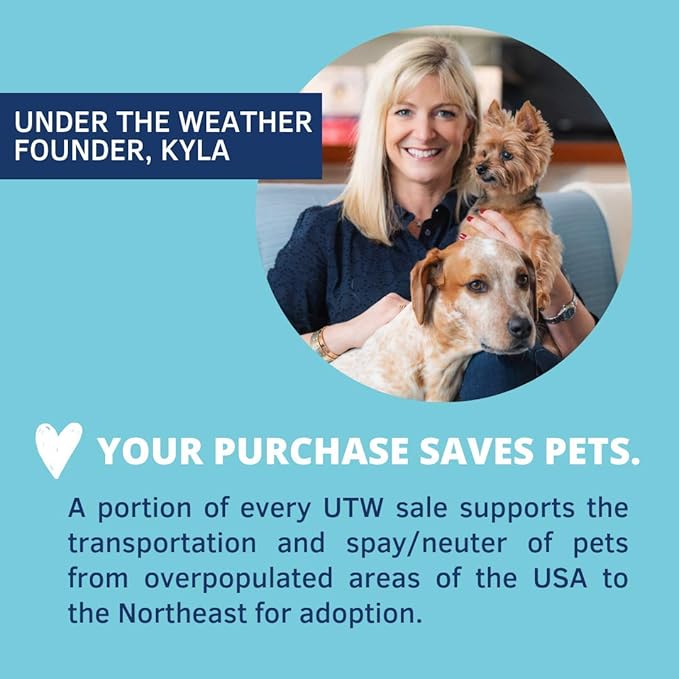 Under the Weather Bland Diet for Dogs | Easy to Digest for Sick Dogs | Always Be Ready | Contains Electrolytes - All Natural Freeze Dried 100% Human Grade Meats | 6 Pack - Chicken, Rice - 6oz