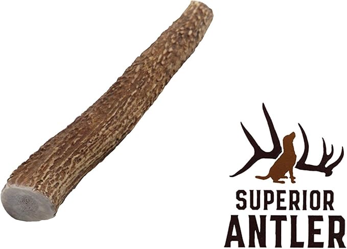 1-Medium Elk Antler –Single Pack. All Natural Premium Grade A. Antler Chew. L=5-8” Naturally shed, Hand-Picked, and Made in The USA. NO Odor, NO Mess. Guaranteed Satisfaction. for Dogs 20-45 LBS
