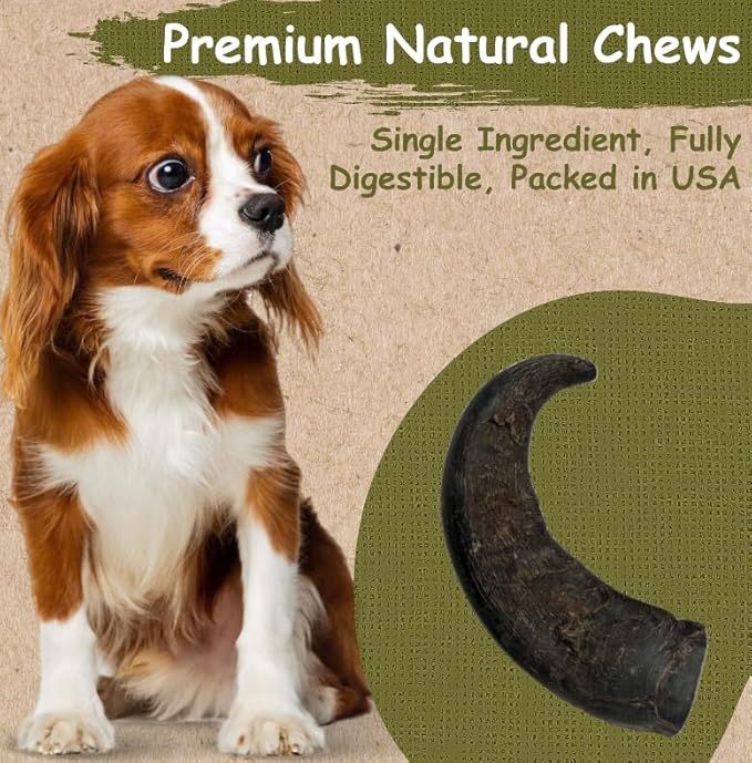 Top Dog Chews – Water Buffalo Horn, Long Lasting Dog Chew for Aggressive Chewers, All Natural, Dog Bone for Large & Medium Dogs, 3 Pack (3 Count, Water Buffalo)