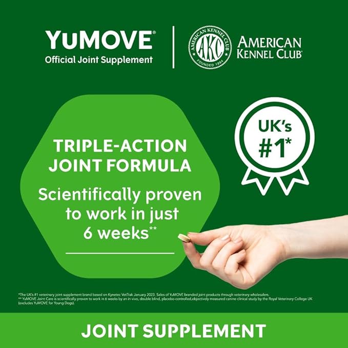 Hip and Joint Supplement - 240 Tablets for Dogs with Glucosamine, Chondroitin, MSM, Omega 3, Hyaluronic Acid, Green Lipped Mussel, & Fish Oil for Dogs - Joint Support Supplement - Senior Dogs