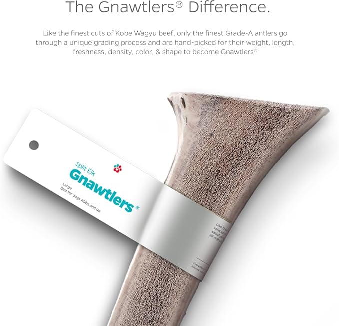 Pet Parents Gnawtlers® - Premium Split Antlers for Dogs, Naturally Shed Split Elk Antlers, All Natural Split Elk Antler Dog Chew, Specially Selected from The Heartland Regions (Small)