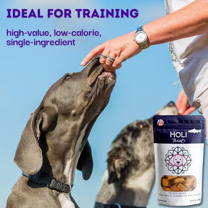 HOLI Freeze Dried Salmon Dog Treats - with Omega 3 and 6 Fish Oil - All Natural - Human Grade - Wild Caught Salmon with Skin - Made in USA - Grain Free - Diabetic Friendly