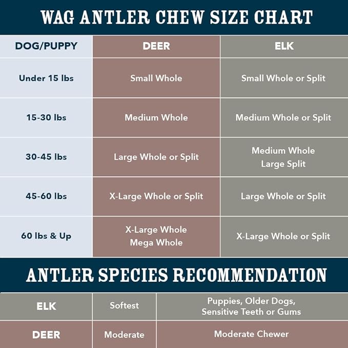 Amazon Brand – Wag Dog Deer Antler Chew, Naturally Shed, Whole, 9–10.5 inches, X-Large (Best for Dogs Over 45 lbs) (Pack of 4)