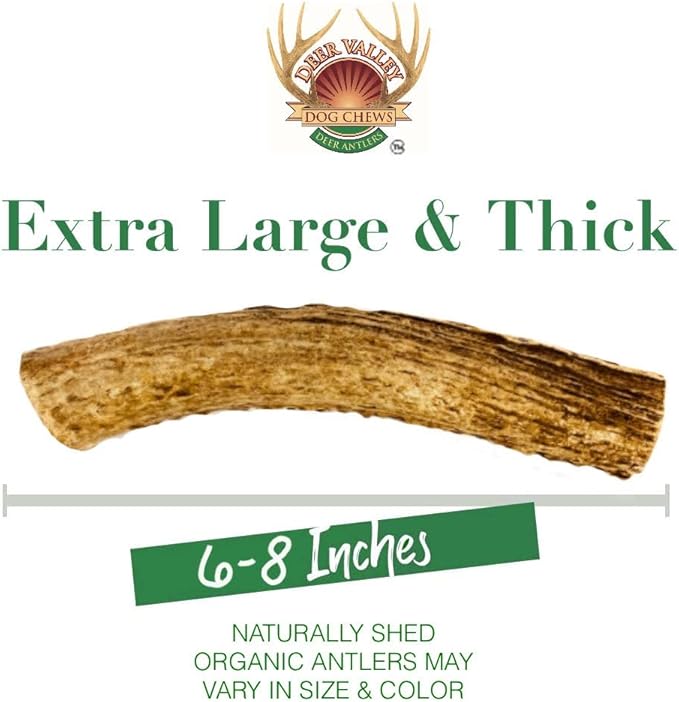 Deer Valley Dog Chews (XL Single, 6-8 Inches) Premium Deer Antler Dog Chew - Long Lasting Dog Bone for Large Dog Breeds and Aggressive Chewers
