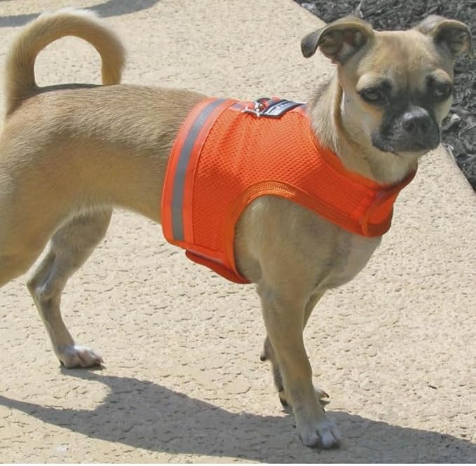 Athletic Mesh Dog Harness for Teacup, XSmall - Small Dogs and Puppies | Reflective Trim and Comfortable Velcro Closure