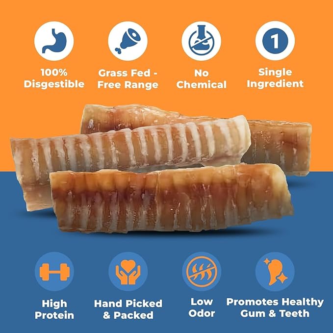 K9warehouse® - 6 Inch Beef Trachea Dog Chews - 25 Count Trachea Flats for Dogs - Packed in USA - Trachea Dog Treats - All Natural Grass-Fed Beef Dog Chews - Rich in Glucosamine Chondroitin