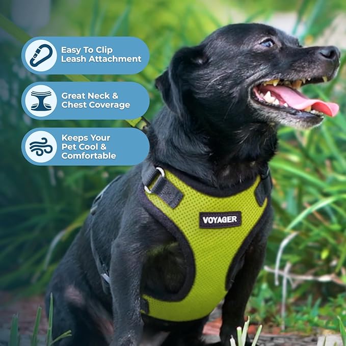 Voyager Step-in Lock Pet Harness - All Weather Mesh, Adjustable Step in Harness for Cats and Dogs by Best Pet Supplies - Lime Green/Black Trim, XL (Pack of 2)