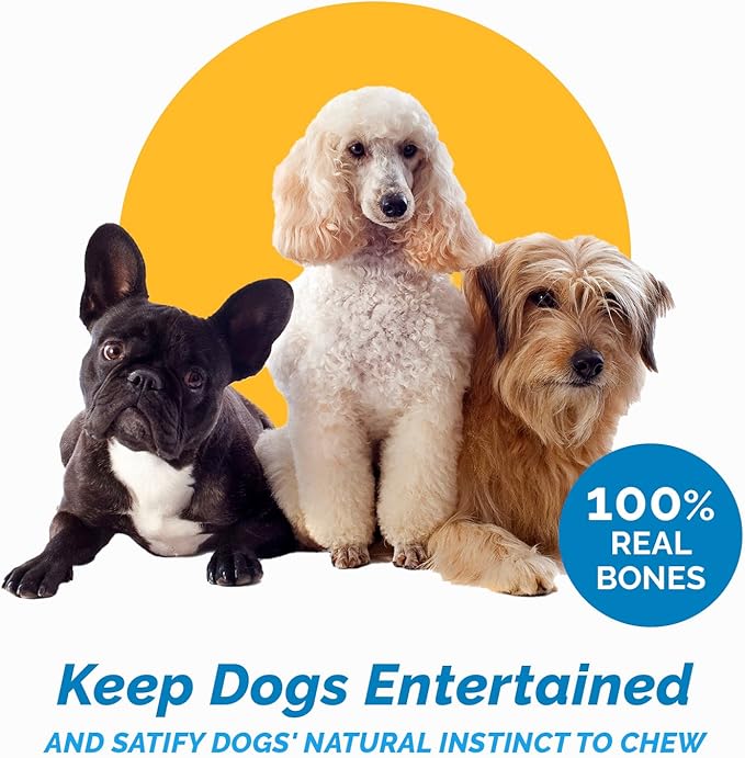Meaty Dog Bones, 100% Natural Knee Cap Beef Bone Dog Treats, No Additives, Made from Premium USA Grass Fed Beef, Tasty Long Lasting Chews for Dogs, Improve Oral Health, Pack of 3