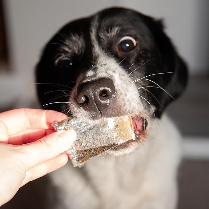 SKIPPER'S Salmon Skin Snacks Dog Treats - Gently Air Dried 100% Salmon Skin Chews Good for Cleaning Teeth, Essential Omega 3 Oils, Hypoallergenic, Wheat & Gluten Free Fish Treats for Dogs | (1.23 Oz)