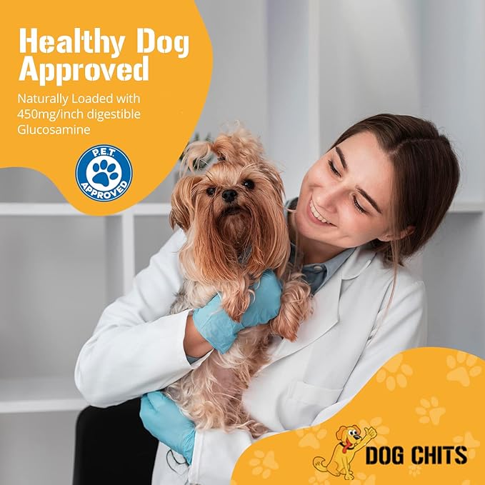 Dog Chits Lamb Trachea for Dogs - Dog and Puppy Chews | Amazing for Joints | Made in USA | Great for Pups Allergic to Beef | All-Natural Treats | Large and Small Dogs | 8 oz. Bag