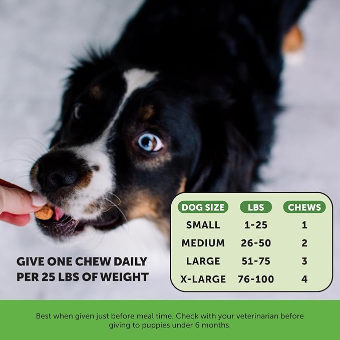 Pet Honesty Cranberry Bladder Health for Dogs – Contains Active Ingredients - Cranberry & D-Mannose to Help Support Dog Urinary Tract Health, Dog Bladder Support, & Kidney Support for Dogs (Bacon)