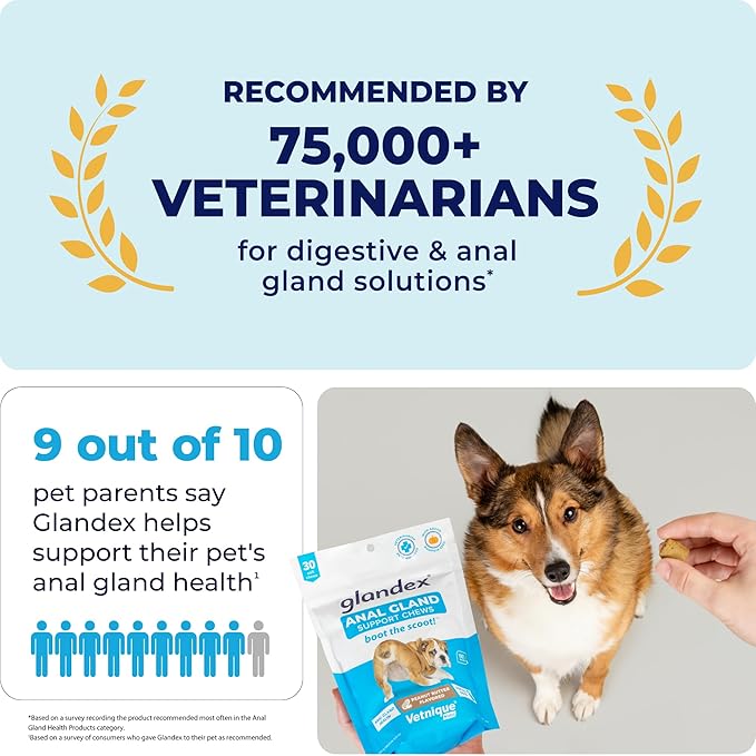 Glandex Anal Gland Soft Chew Treats with Pumpkin for Dogs Digestive Enzymes, Probiotics Fiber Supplement for Dogs Boot The Scoot (Pork Liver Chews, 60ct)