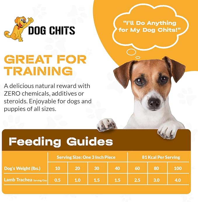 Dog Chits Lamb Trachea for Dogs - Dog and Puppy Chews | Amazing for Joints | Made in USA | Great for Pups Allergic to Beef | All-Natural Treats | Large and Small Dogs | 8 oz. Bag