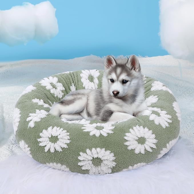HYQ Small Dog Bed, Cat Beds for Indoor Cats, Dog Beds for Small Dogs with Anti-Slip Bottom, Cute Puppy Bed Washable-White-17inch