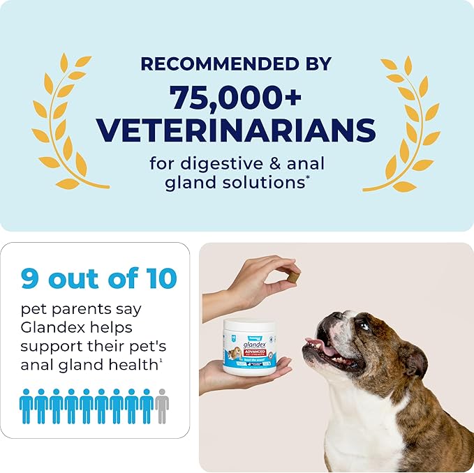 Glandex Anal Gland Soft Chew Treats with Pumpkin for Dogs Digestive Enzymes, Probiotics Fiber Supplement for Dogs Boot The Scoot (Advanced Strength Duck/Bacon Chews (Vegetarian), 60ct)
